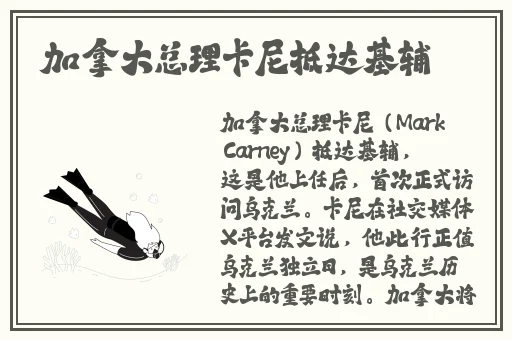 国产精品久久久影视